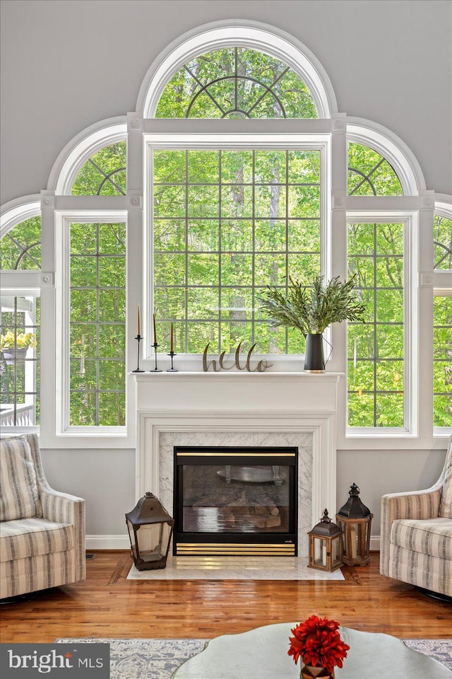 interior space with plenty of natural light, wood finished floors, and a premium fireplace
