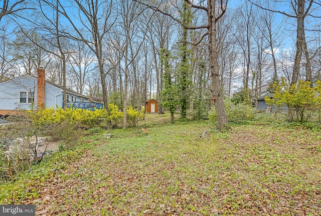 view of yard with an outdoor structure and a shed
