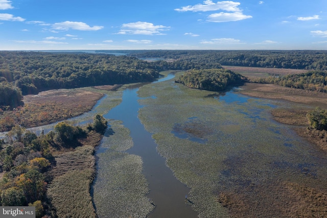 birds eye view of property featuring a view of trees and a water view