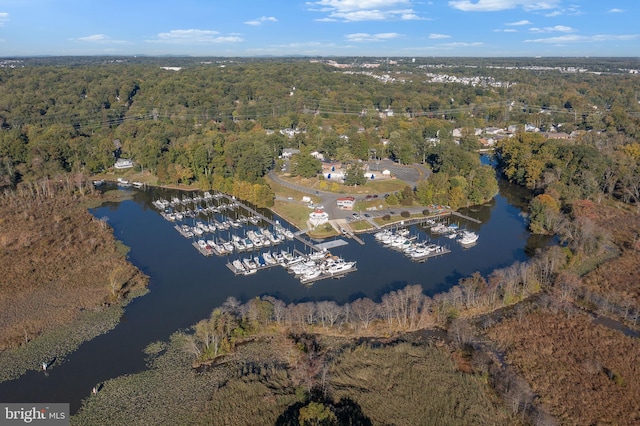 birds eye view of property with a view of trees and a water view