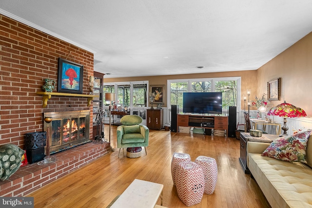 living room with a fireplace and hardwood / wood-style floors