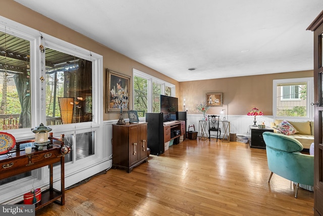 office with wainscoting, a wealth of natural light, and light wood-type flooring