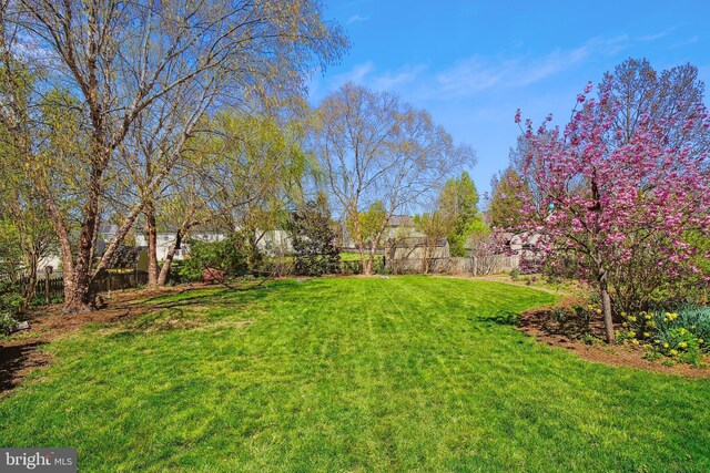 5900 Union Ridge Dr, Adamstown, MD 21710 - view of yard