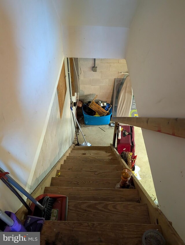 61 Perry Rd, Woodbine, NJ 08270 - stairs with concrete block wall