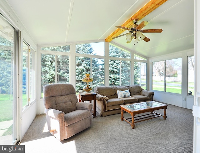 sunroom with lofted ceiling with beams and carpet floors