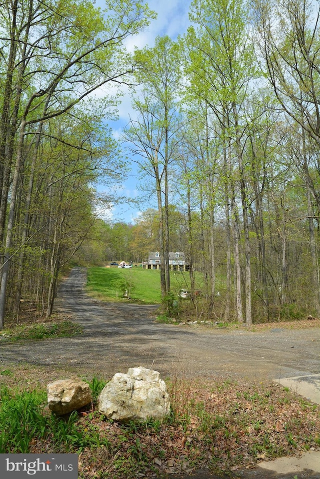 view of dirt / gravel road