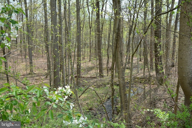 view of tree filled area