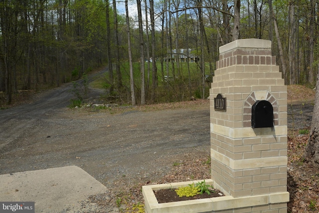 view of yard featuring driveway and a forest view