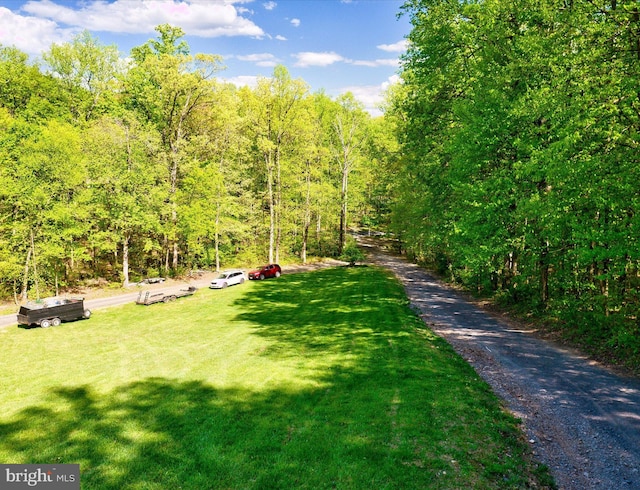 view of community featuring a yard and a view of trees