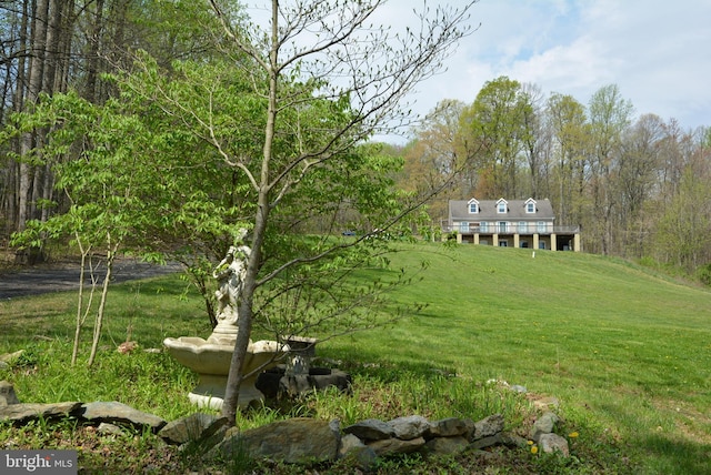 view of grassy yard with a wooded view
