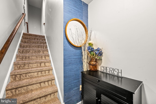 131 Time Cir, Bear, DE 19701 - staircase with carpet flooring and baseboards