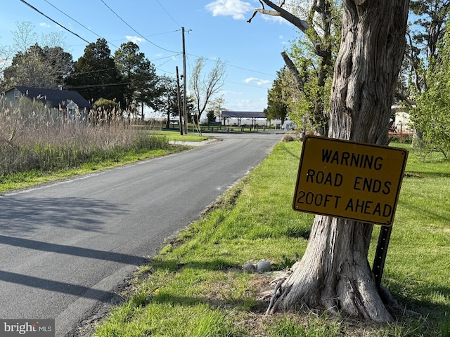 4747 Tyaskin Rd, Tyaskin, MD 21865 - view of road