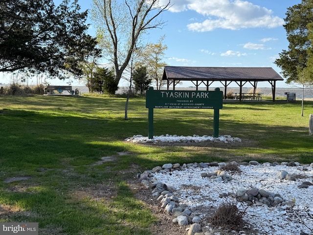 4747 Tyaskin Rd, Tyaskin, MD 21865 - surrounding community with a yard