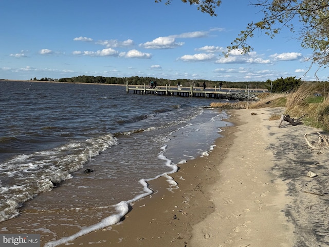 4747 Tyaskin Rd, Tyaskin, MD 21865 - water view featuring a beach view