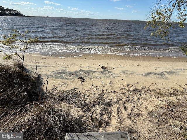 4747 Tyaskin Rd, Tyaskin, MD 21865 - view of water feature with a view of the beach