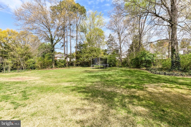 view of yard featuring a trampoline