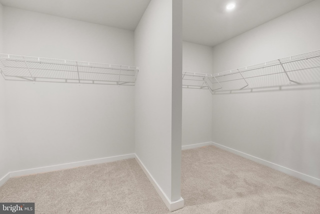 109 Hillsdale Dr, Fredericksburg, VA 22405 - spacious closet featuring carpet floors
