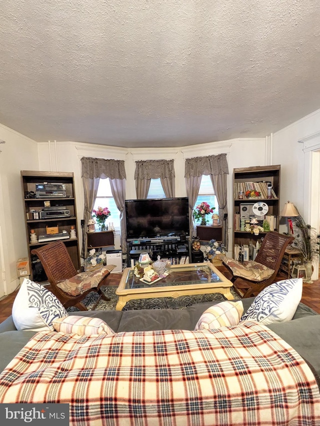 living room featuring wood finished floors, a textured ceiling, and a healthy amount of sunlight