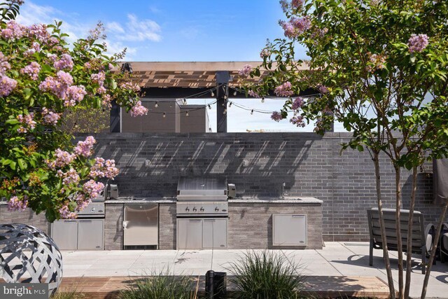 70 N Street Street SE Unit N916, Washington, DC 20003 - view of patio / terrace featuring area for grilling, a pergola, and exterior kitchen