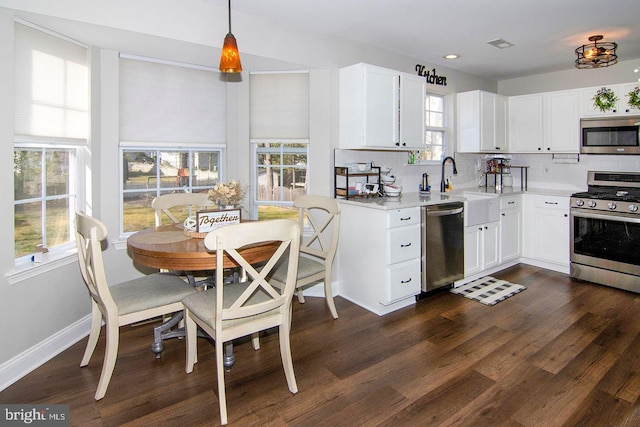 kitchen with light countertops, dark wood-style flooring, appliances with stainless steel finishes, and plenty of natural light