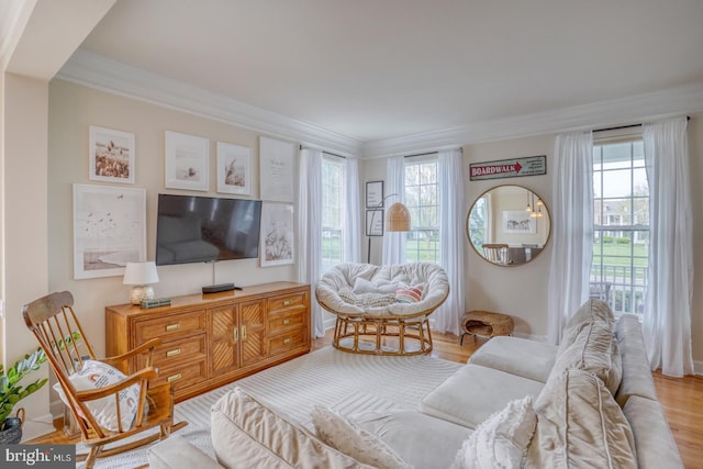 living area with wood finished floors and ornamental molding