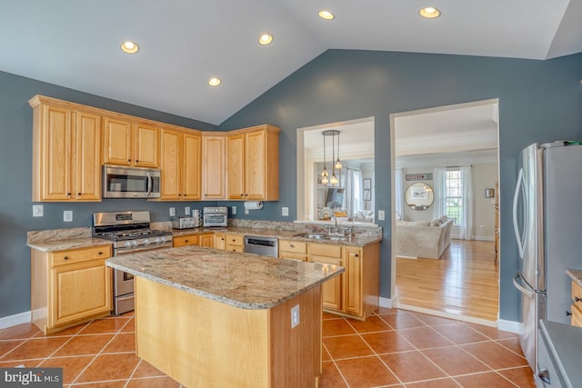 kitchen with appliances with stainless steel finishes, light brown cabinets, and tile patterned floors