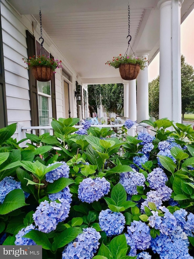 view of yard with a porch