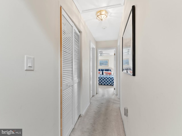 2 Windmill Ct, Columbus, NJ 08022 - corridor featuring baseboards and light carpet