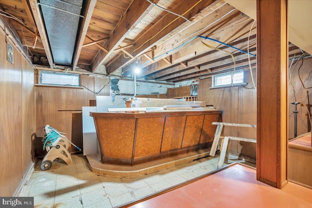 basement featuring wooden walls