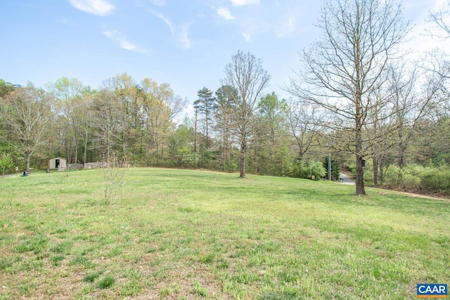 view of yard featuring a view of trees, an outbuilding, and a shed