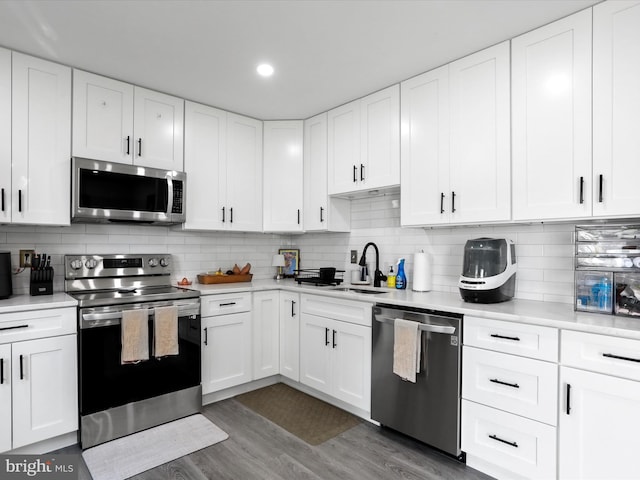 kitchen with light countertops, wood finished floors, appliances with stainless steel finishes, and a sink