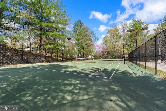 19961 Major Sq, Ashburn, VA 20147 - view of tennis court