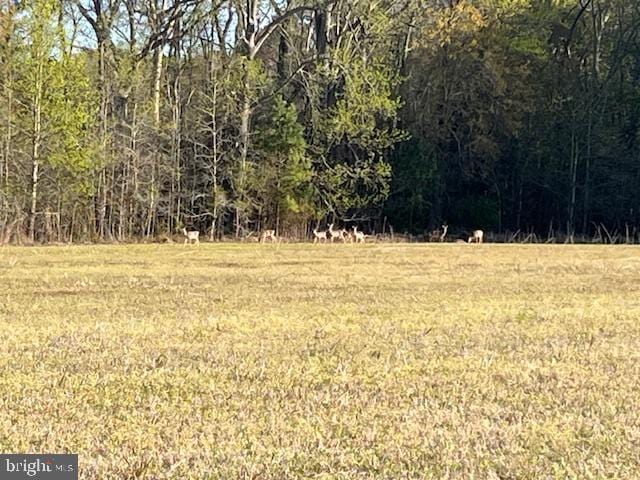 0 E Shire Dr, Berlin, MD 21811