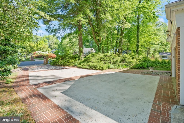view of yard featuring a patio area