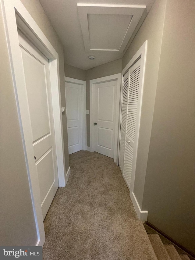 2102 E Oak Rd Unit E2, Vineland, NJ 08361 - hallway featuring baseboards and carpet floors