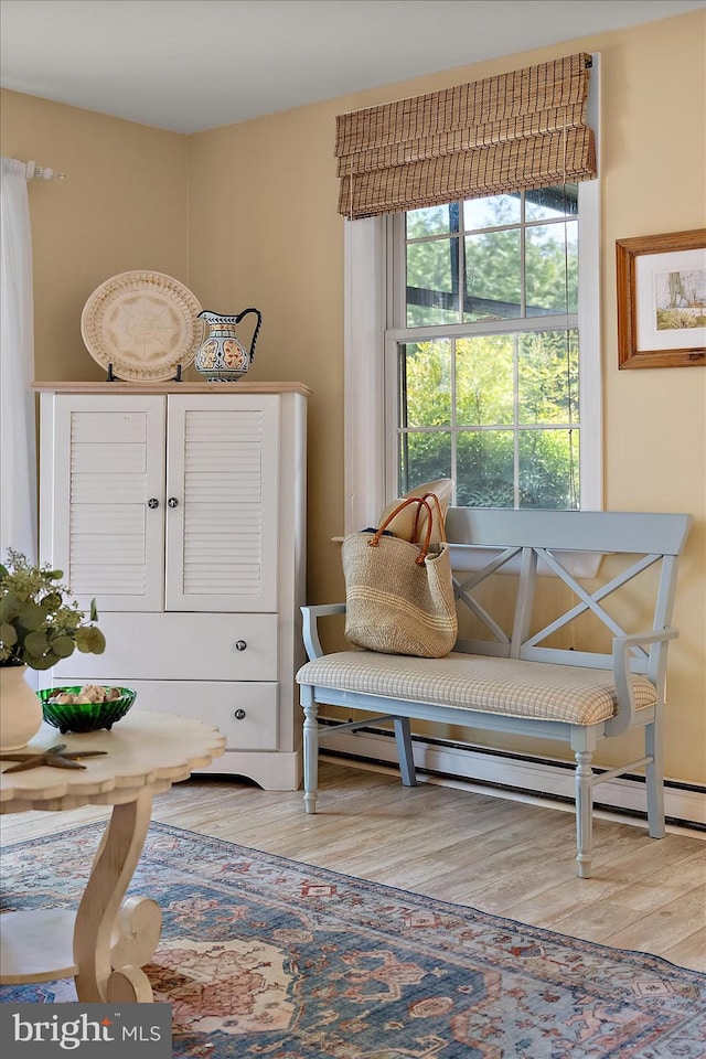 living area featuring baseboard heating and wood finished floors