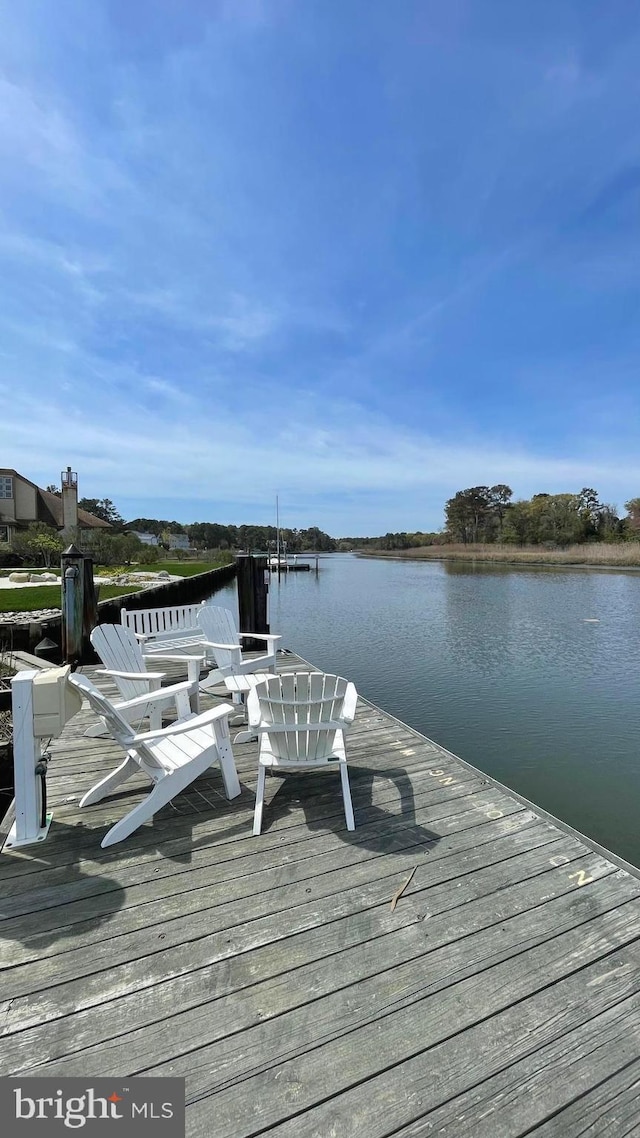 dock area with a water view