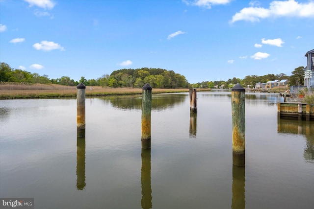 dock area with a water view