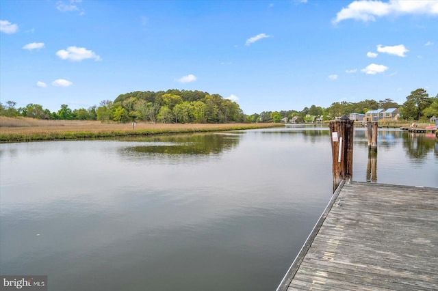 dock area featuring a water view