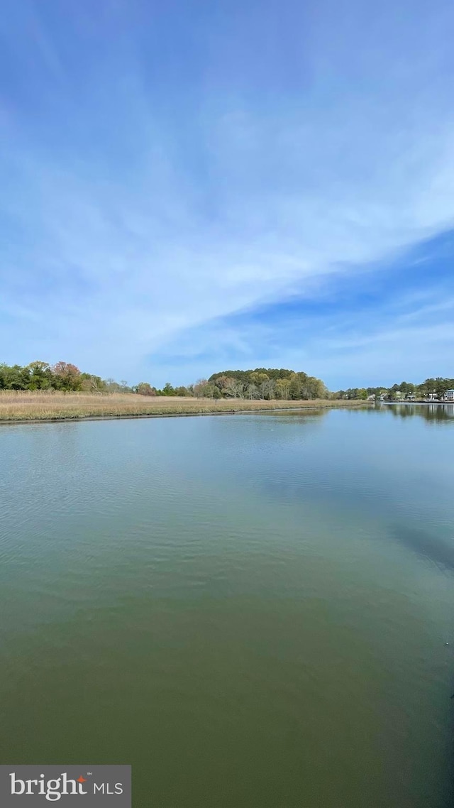 water view