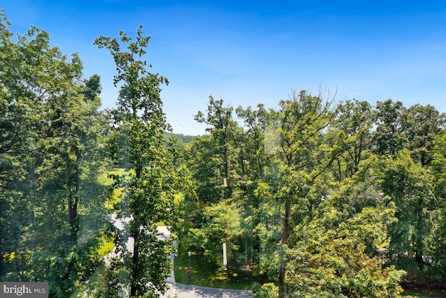 15100 Interlachen Dr Unit 4-522, Silver Spring, MD 20906 - view of tree filled area