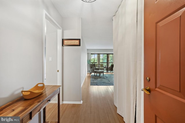 15100 Interlachen Dr Unit 4-522, Silver Spring, MD 20906 - hall with light wood-type flooring and baseboards