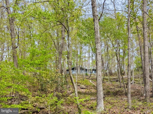 view of nature