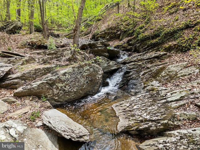 view of local wilderness
