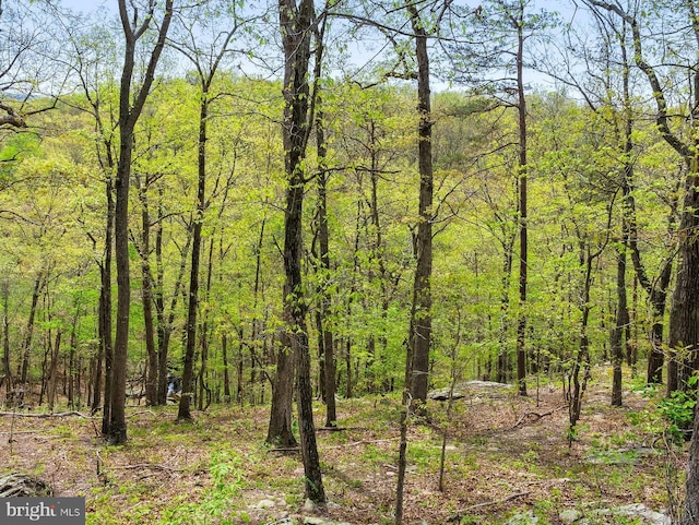 view of tree filled area