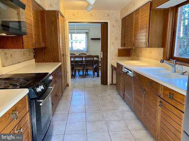 490 Orlando Ave, State College, PA 16803 - kitchen with black range with electric cooktop, a sink, dishwasher, and brown cabinetry