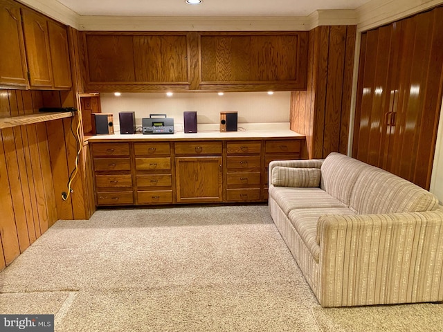 490 Orlando Ave, State College, PA 16803 - living room featuring light carpet and wooden walls