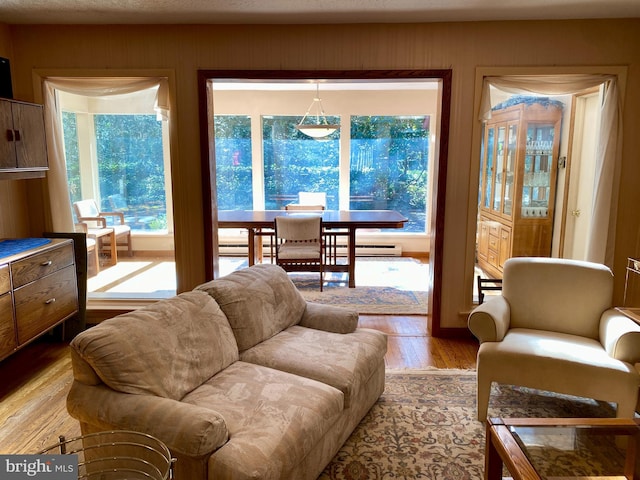 490 Orlando Ave, State College, PA 16803 - living area featuring wood finished floors and a baseboard heating unit