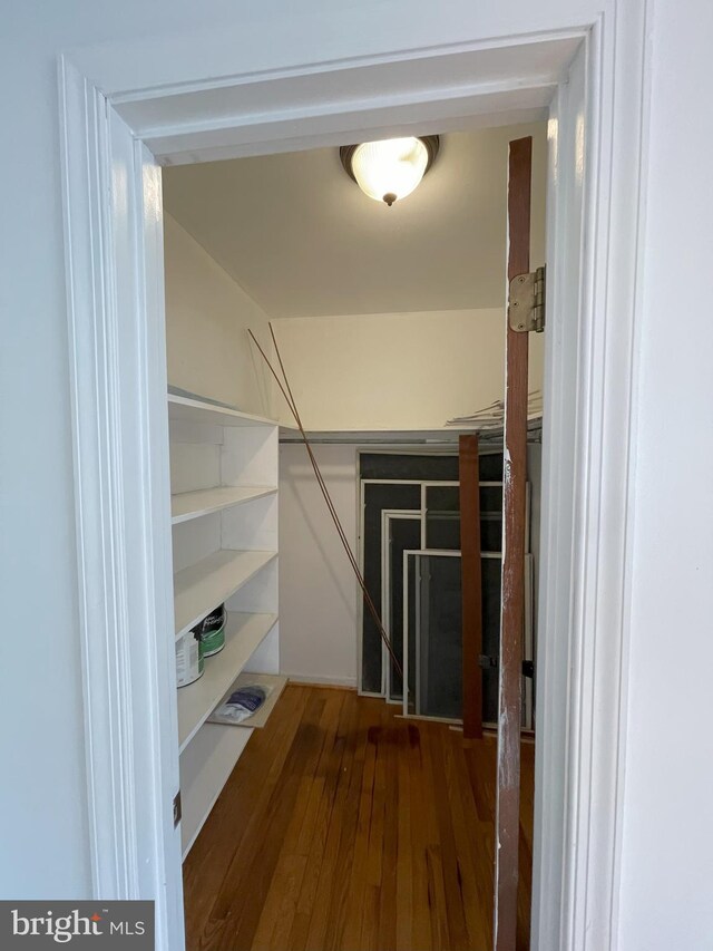 walk in closet featuring wood finished floors