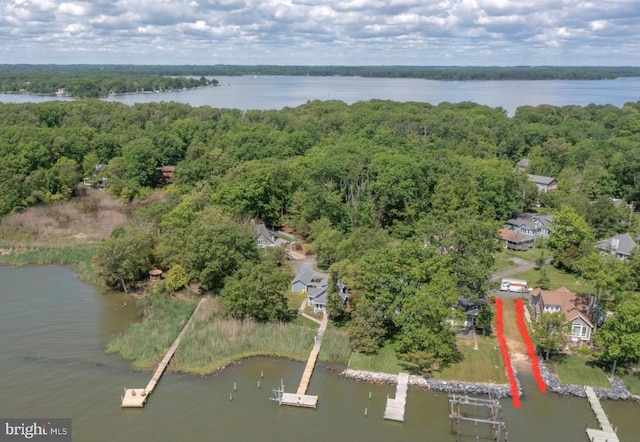 birds eye view of property with a water view and a view of trees